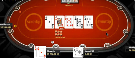 Synot Tip Poker video: Alkaatchova CG session na 100/200 Kč